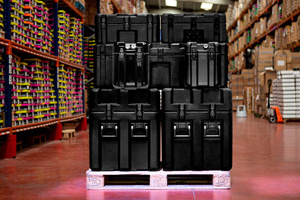 ISP2 Cases